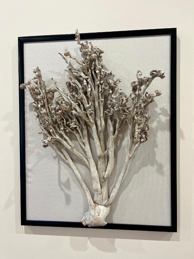 Apartamenty Kamienica Arte 4 Устка Экстерьер фото